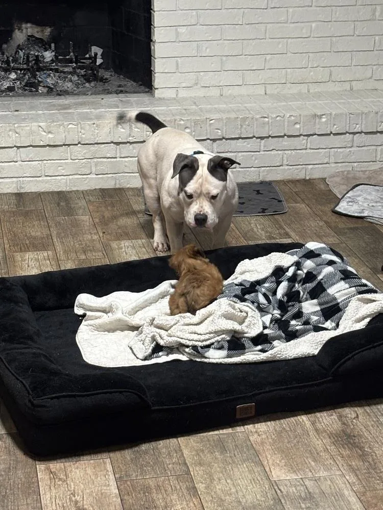 Maybelline thumbnail 2