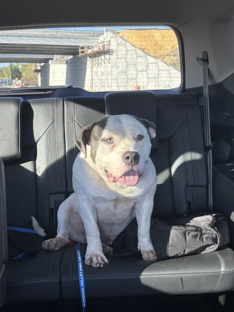 Maybelline thumbnail 3