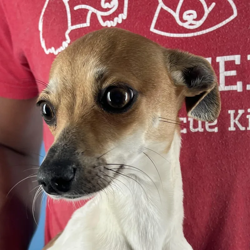 Nisha  Local April thumbnail 5