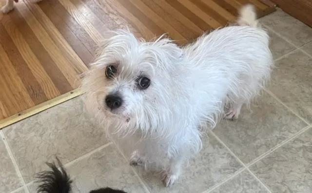 Glenda And Lucky thumbnail 2