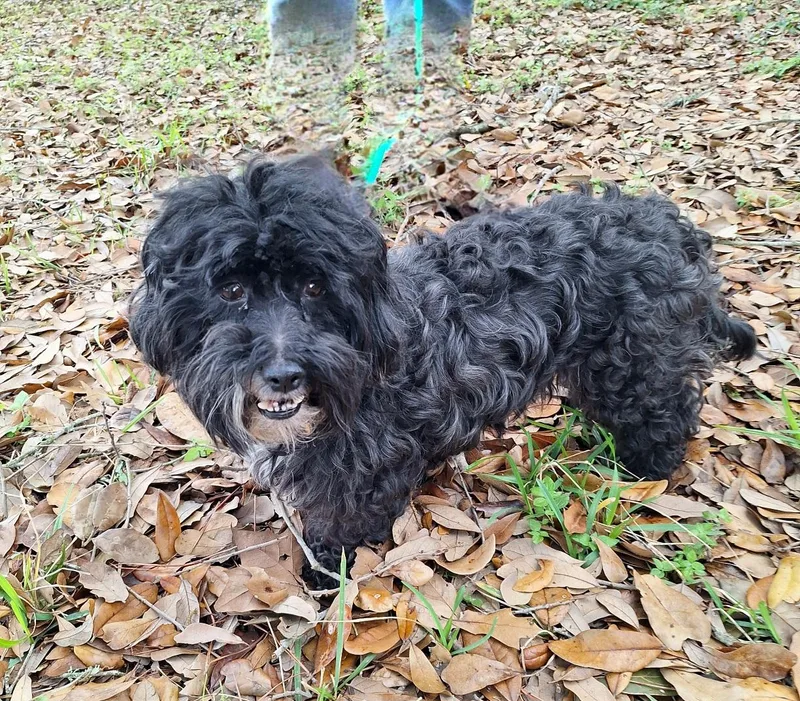 Nombeko Mvt thumbnail 2