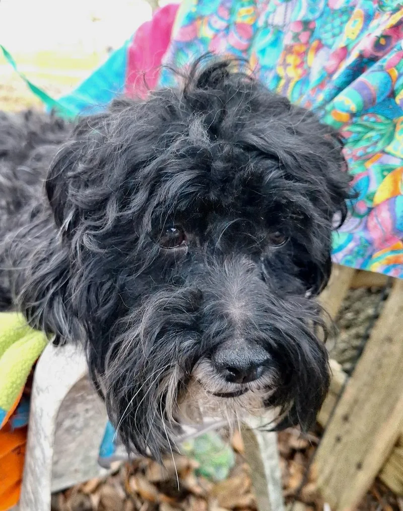 Nombeko Mvt thumbnail 3