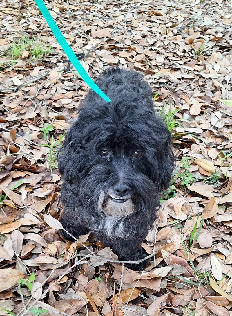 Nombeko Mvt thumbnail 6