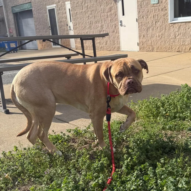 Brooklyn thumbnail 2