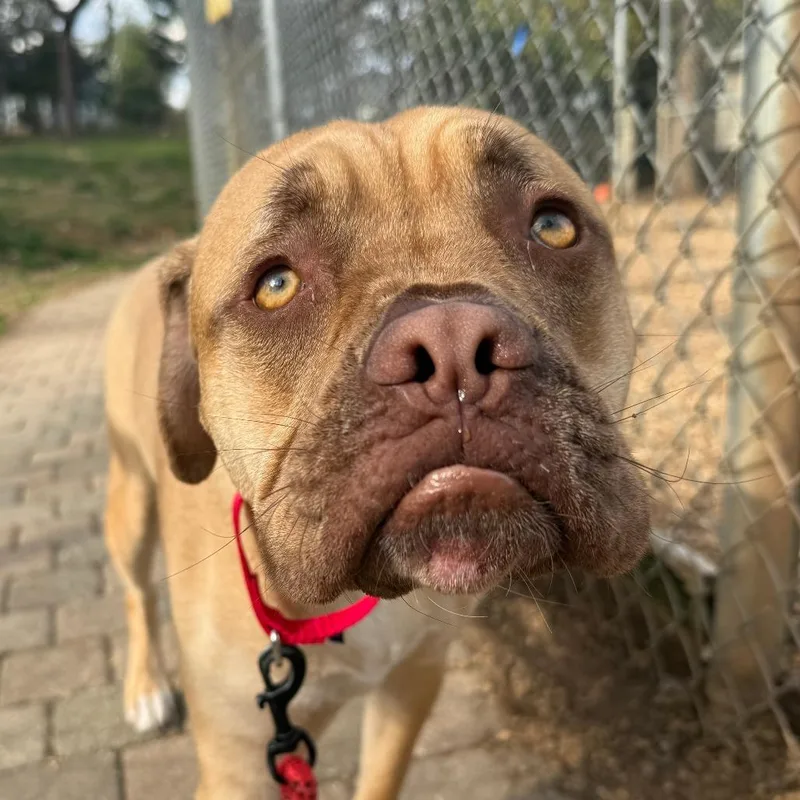 Brooklyn thumbnail 5