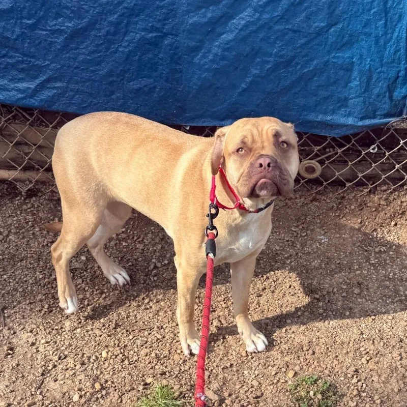 Brooklyn thumbnail 6