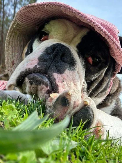 Gloria Gaynor thumbnail 2