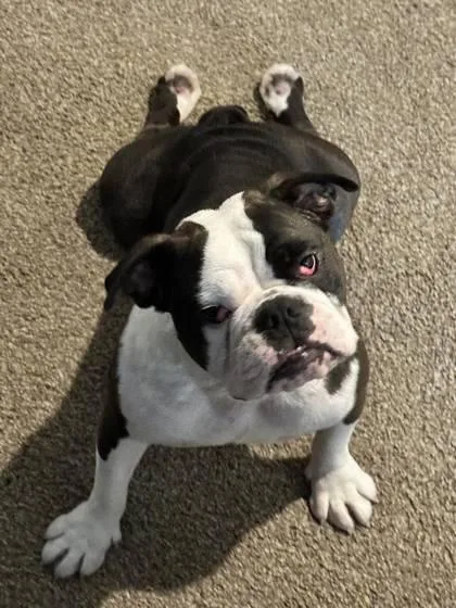 Gloria Gaynor thumbnail 3