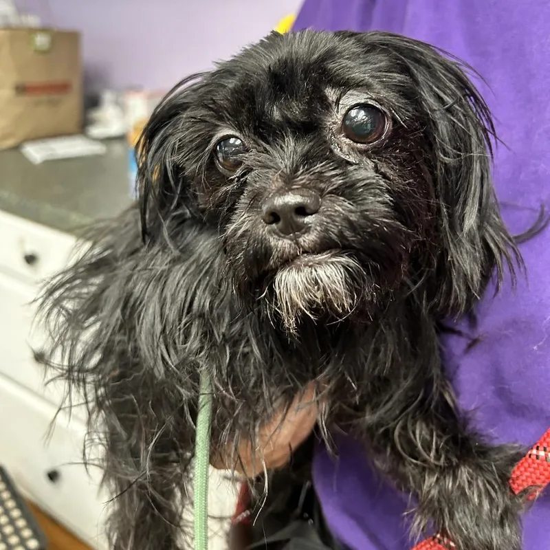 Mini thumbnail 2