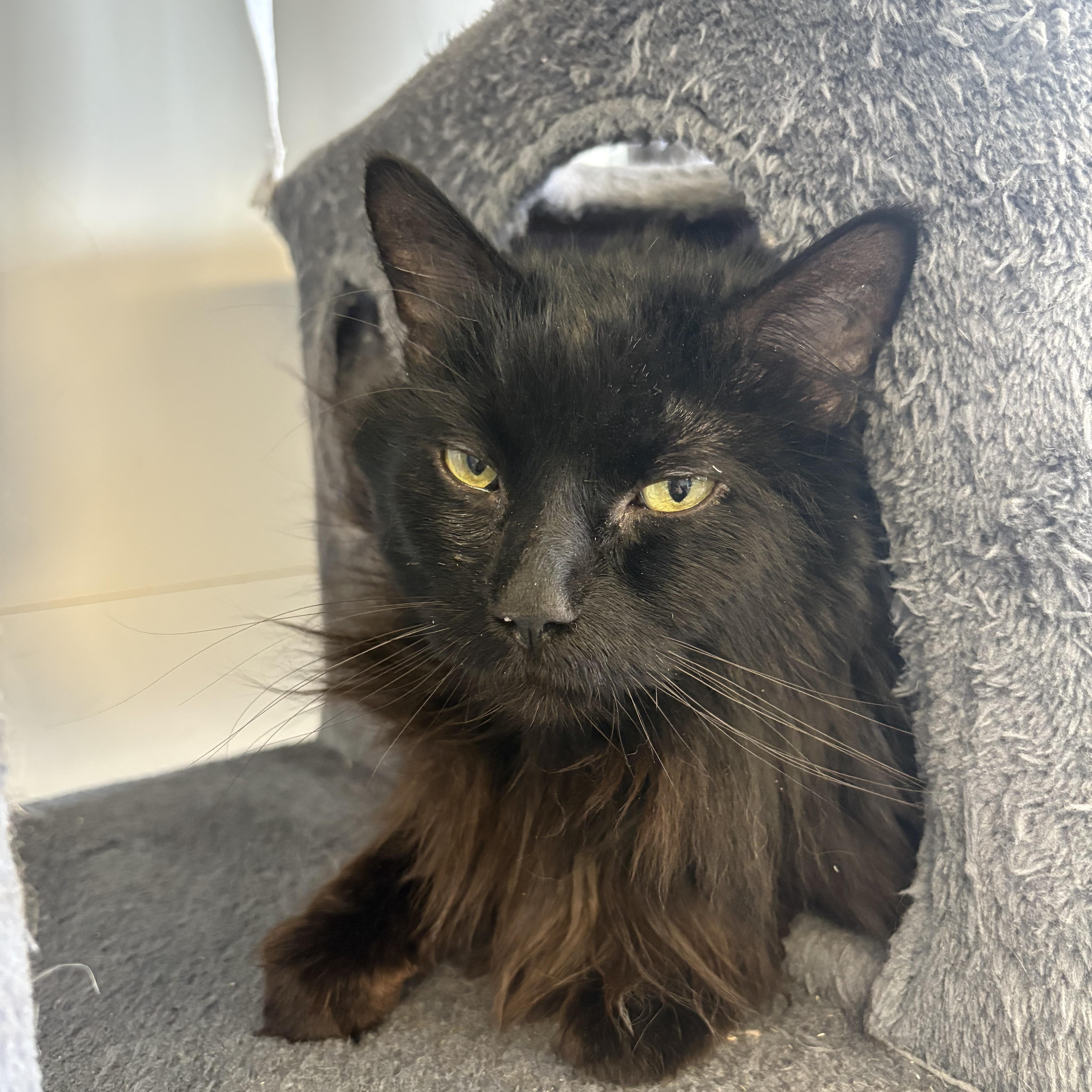 Big Mac & Whopper thumbnail 3