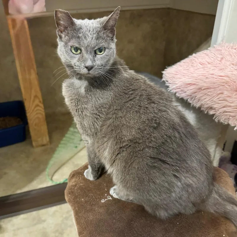 Gracie Gray thumbnail 2