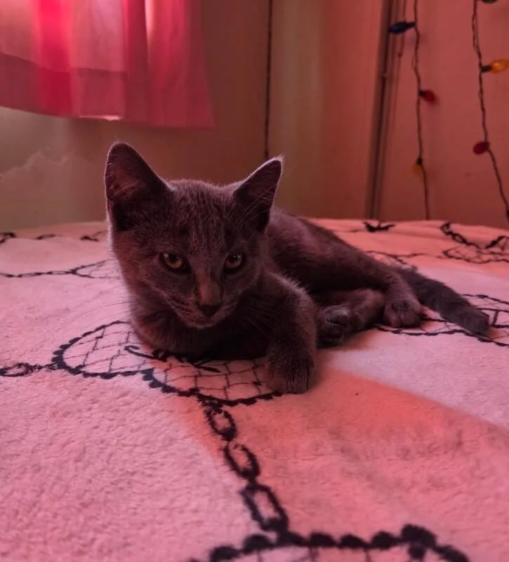Mimi thumbnail 2