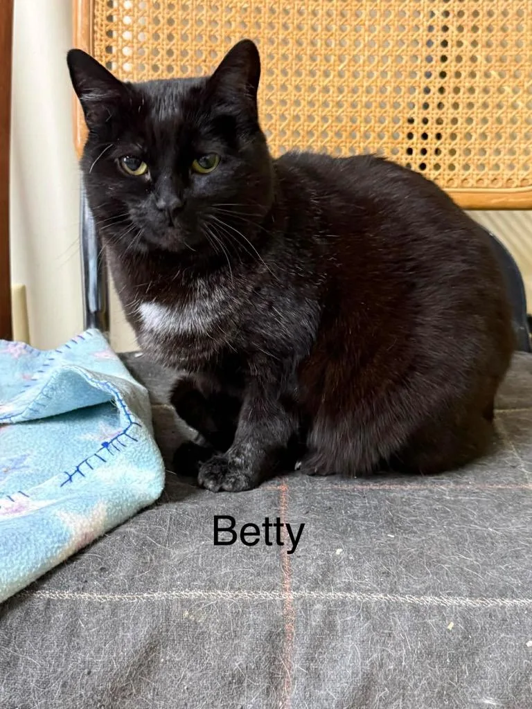 Betty