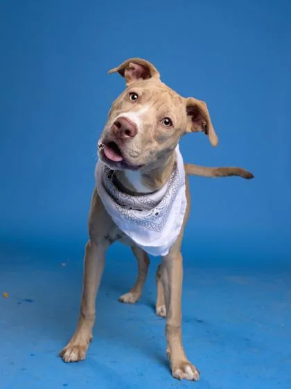 Bryanne Of Tarth thumbnail 2