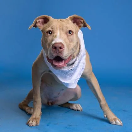 Bryanne Of Tarth thumbnail 3