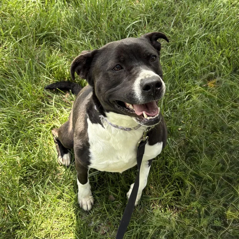Gertie Giggles thumbnail 2