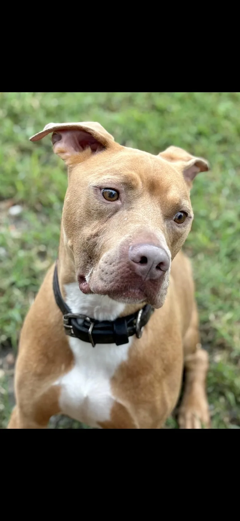 Cowboy J thumbnail 3