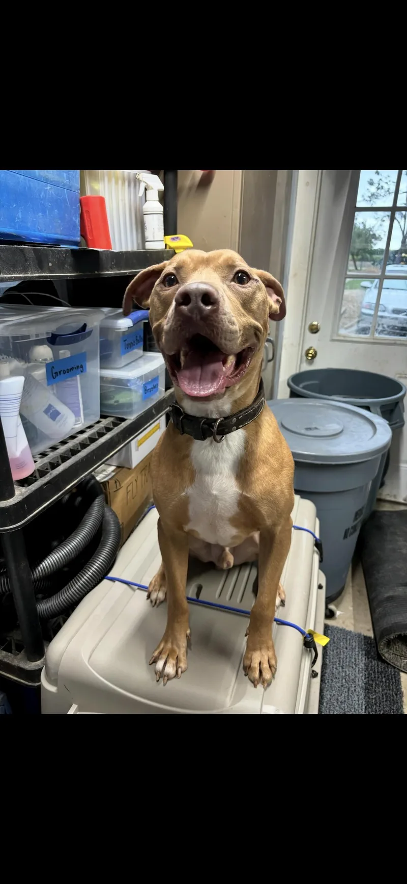 Cowboy J thumbnail 4