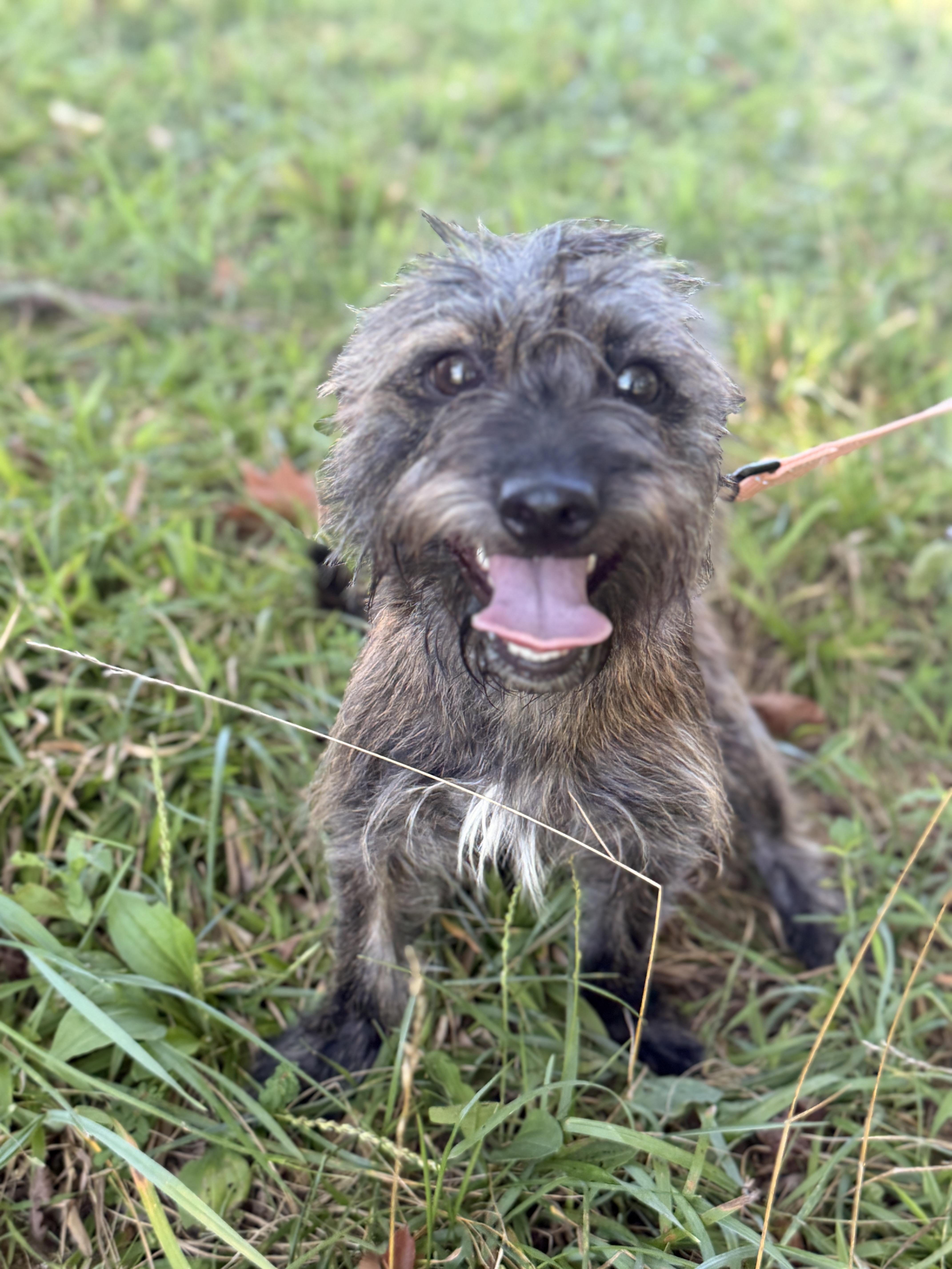 Lily