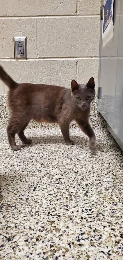 Matilda