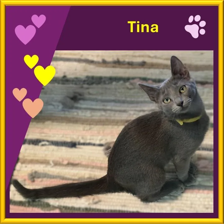 Tina