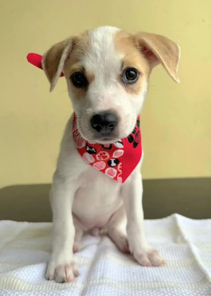 Romina Bobina "very Loving! thumbnail 2