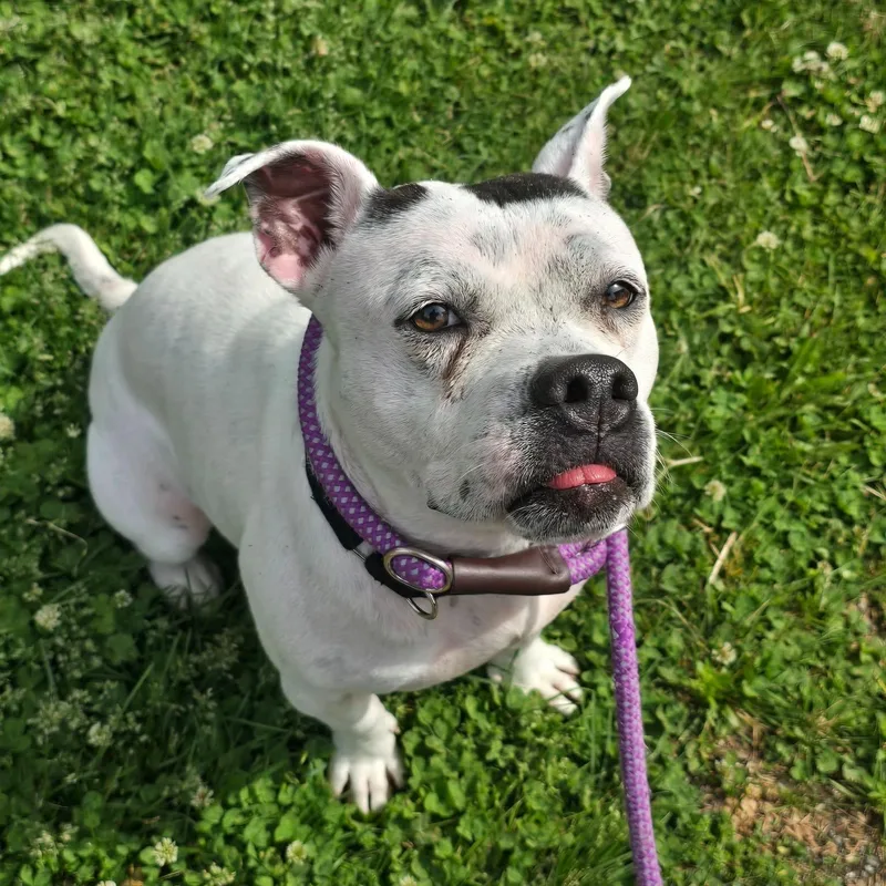 Lola thumbnail 3