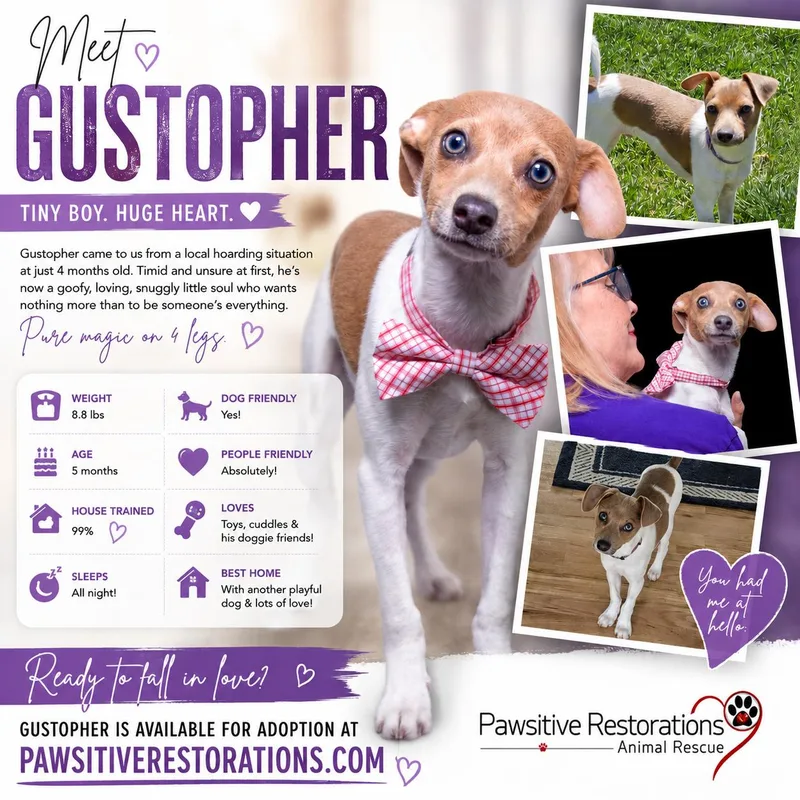 Gustopher thumbnail 2