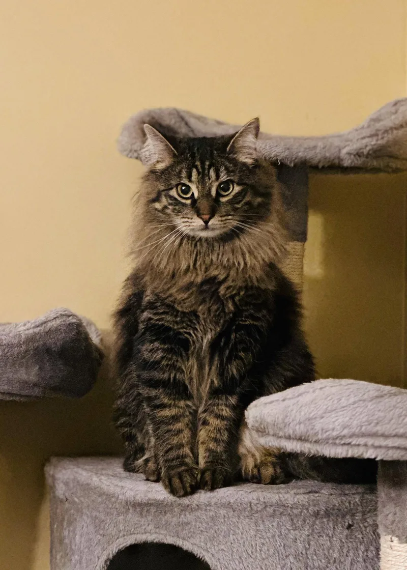 Sophie W Gracie thumbnail 2