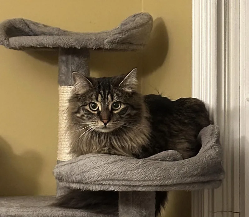 Sophie W Gracie thumbnail 3