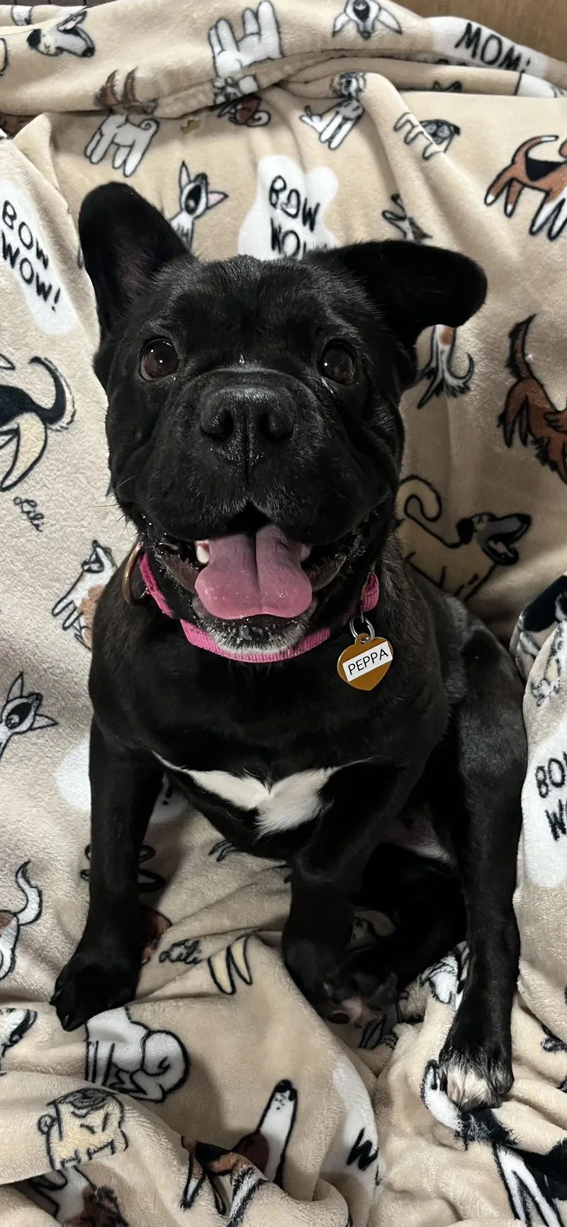 Peppa thumbnail 3