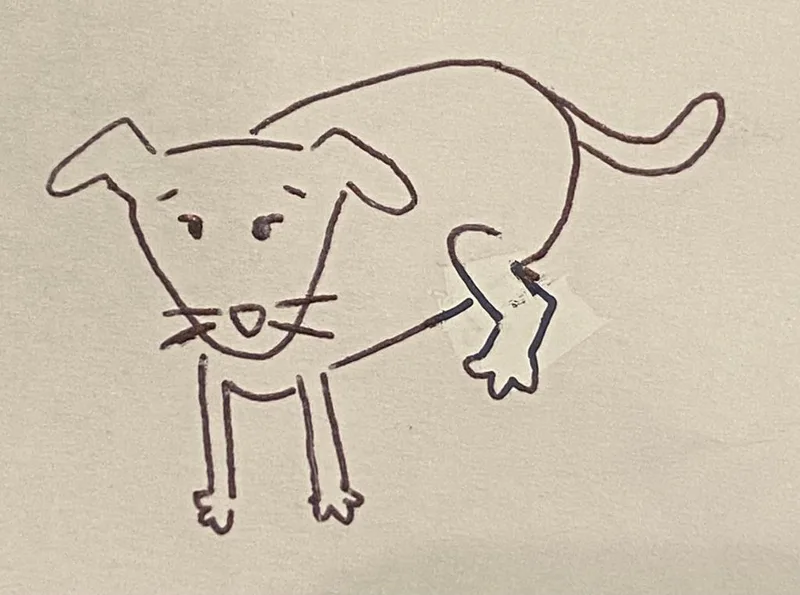 Velma Icd thumbnail 2