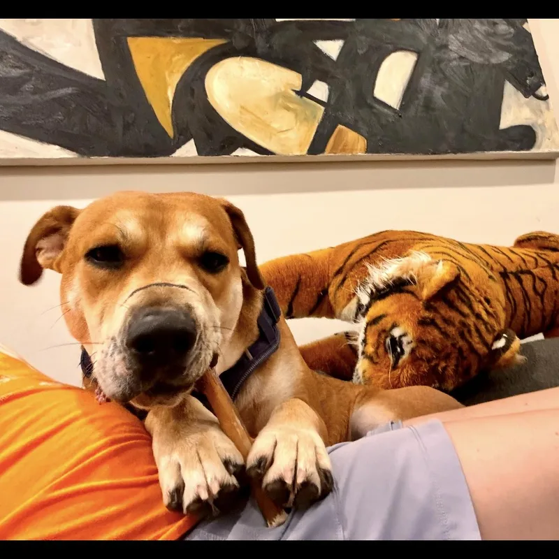 Churro thumbnail 3