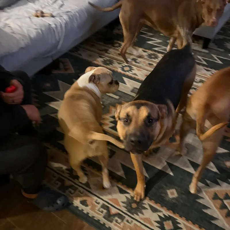 Guinness Irish thumbnail 2