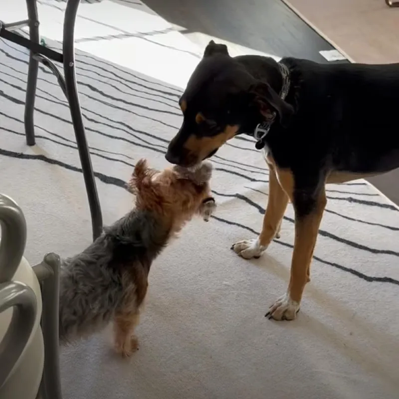 Guinness Irish thumbnail 3