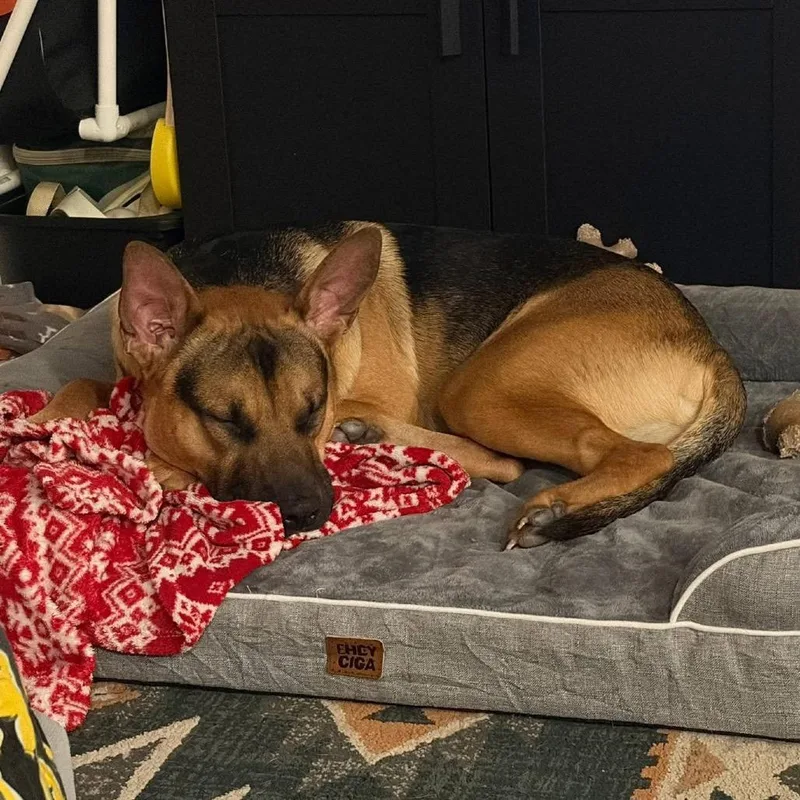 Guinness Irish thumbnail 5