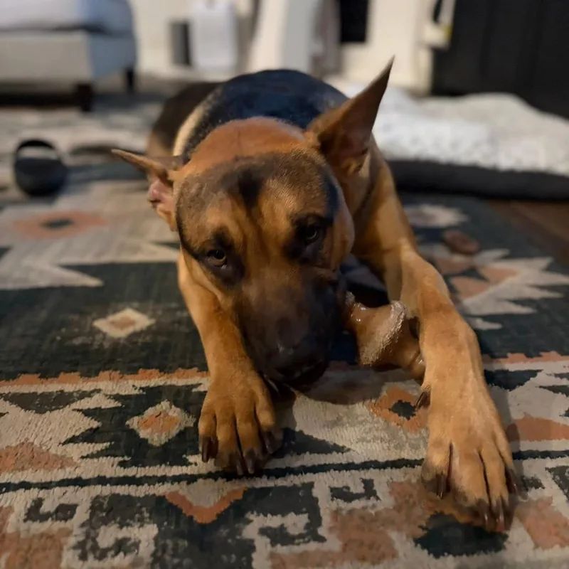 Guinness Irish thumbnail 6