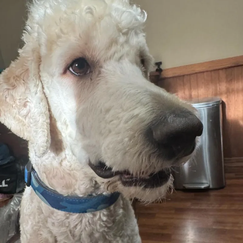 Murphy thumbnail 3
