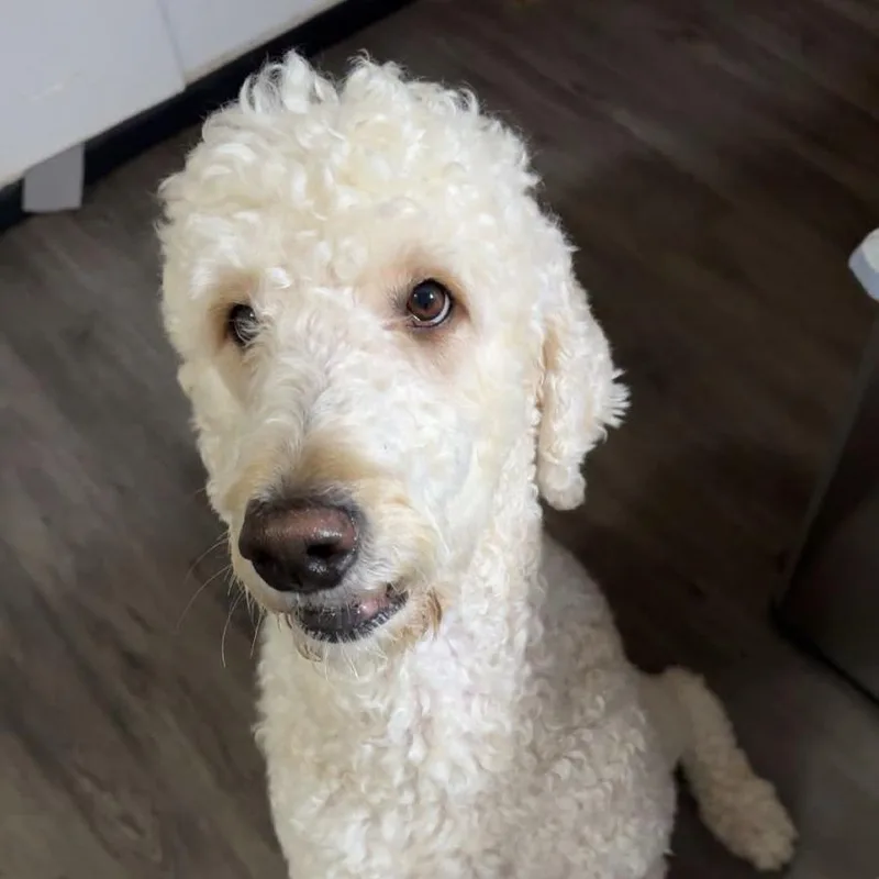 Murphy thumbnail 5