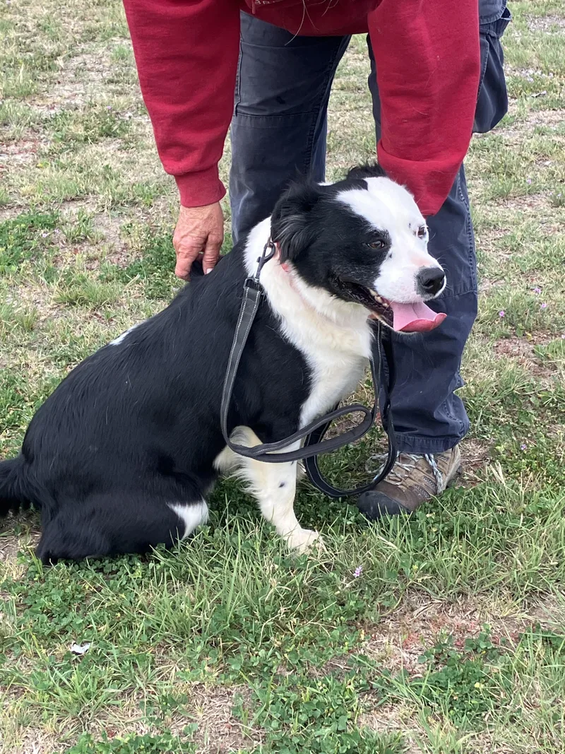 Blanchecrawling With Cuteness thumbnail 3