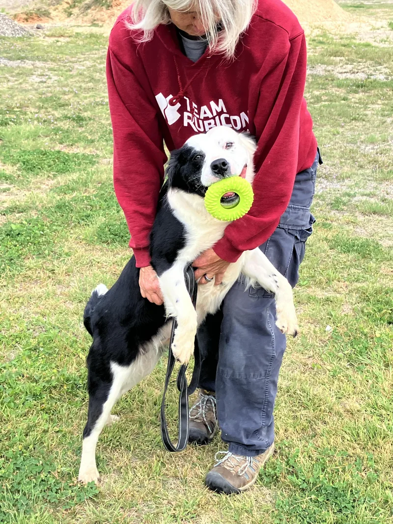 Blanchecrawling With Cuteness thumbnail 5