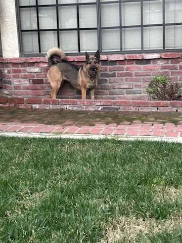 Lovely Roxy Roxanne!!