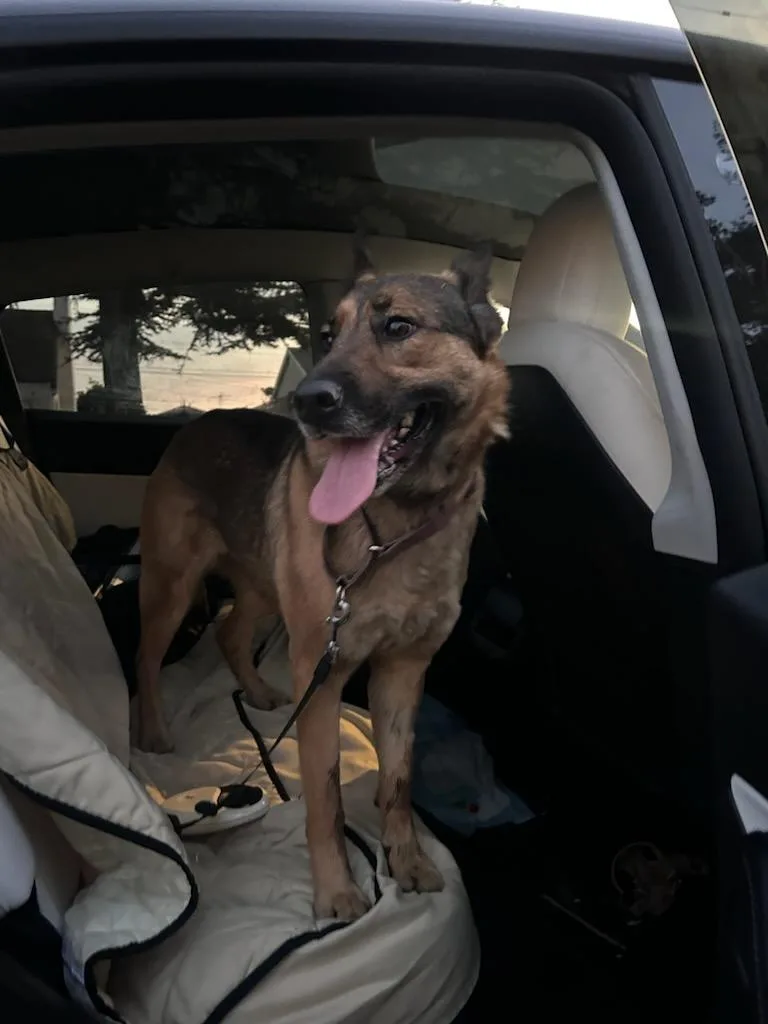 Lovely Roxy Roxanne!! thumbnail 2