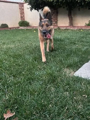 Lovely Roxy Roxanne!! thumbnail 3