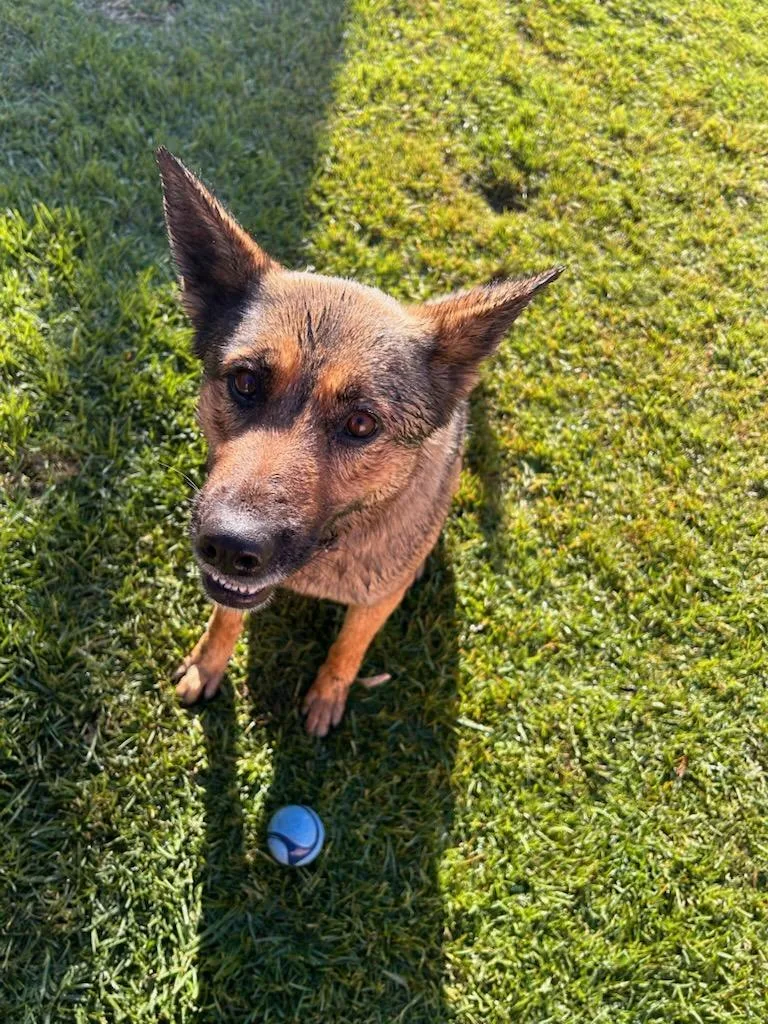 Lovely Roxy Roxanne!! thumbnail 4