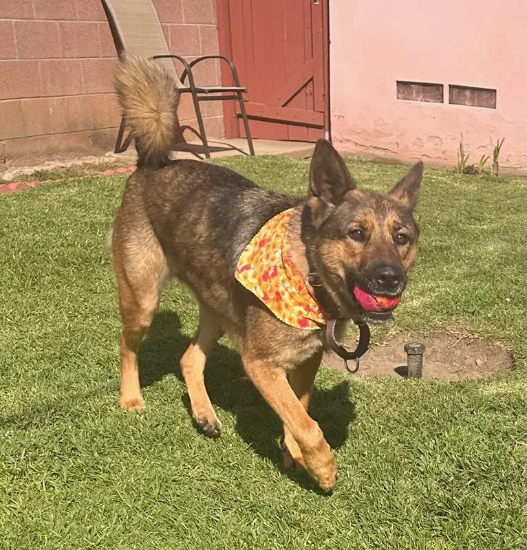 Lovely Roxy Roxanne!! thumbnail 5