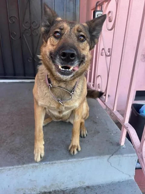 Lovely Roxy Roxanne!! thumbnail 6