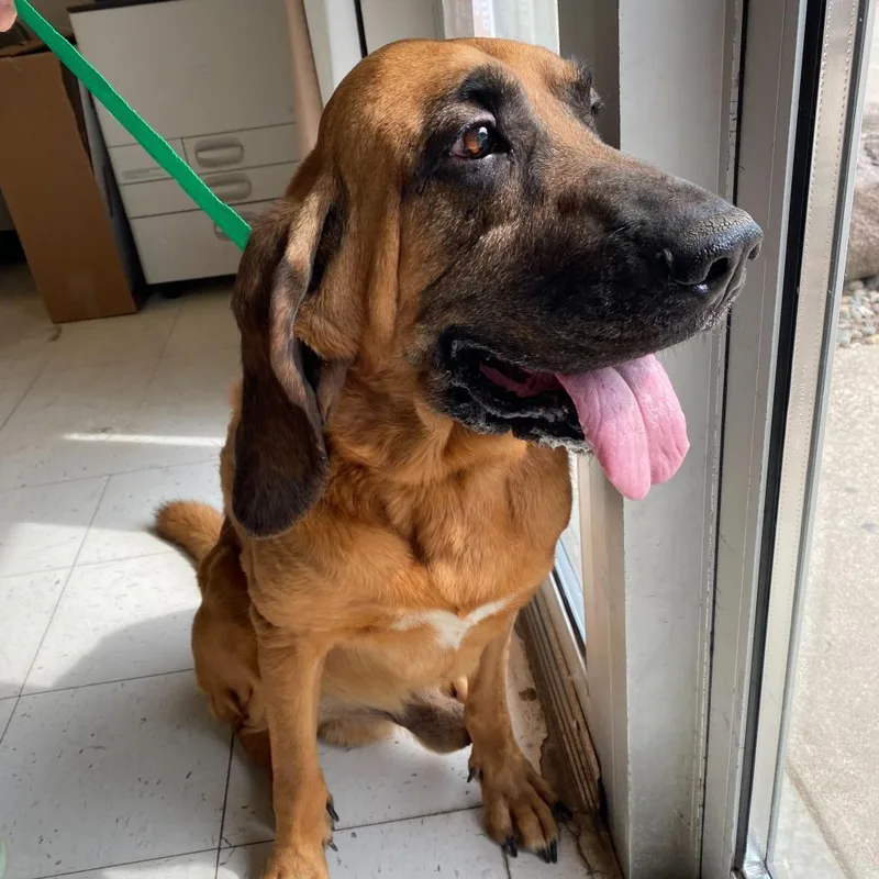 Copper thumbnail 2
