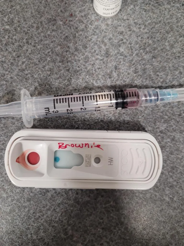 Browniemoose thumbnail 3