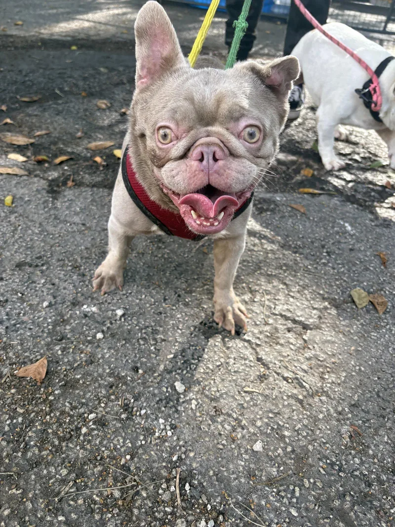 Rosalina thumbnail 2